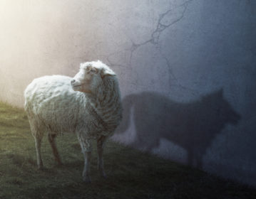 Oracle’s Cloud Programs: Beware a Wolf in Sheep’s Clothing