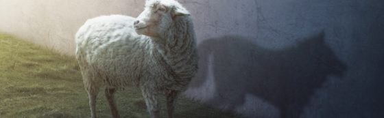 Oracle’s Cloud Programs: Beware a Wolf in Sheep’s Clothing