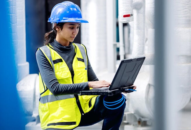 Industry-Specific Software Support and Services 
