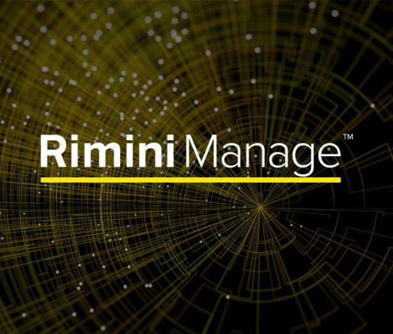 Rimini Manage™ IT managed services 