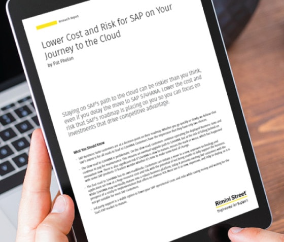 Lower Cost and Risk for SAP on Your Journey to the Cloud