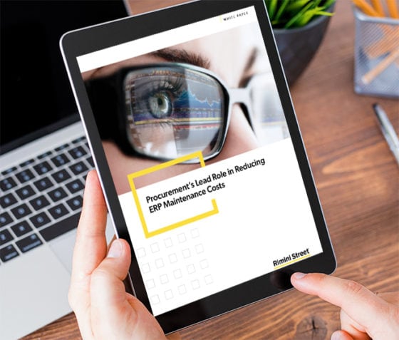 Procurement’s Lead Role in Reducing ERP Maintenance Costs