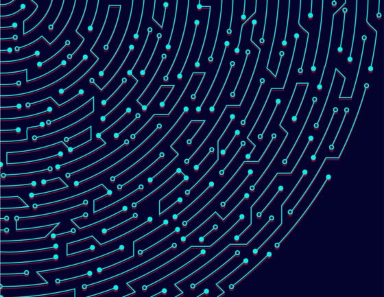 Third-Party Support: A Strategy for IT Agility, Not Just a Cost-Cutting Measure