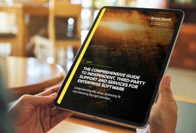 The Comprehensive Guide to Third-Party Support and Services for Enterprise Software