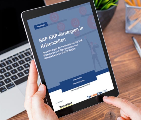 Whitepaper: SAP ERP-Strategien in Krisenzeiten