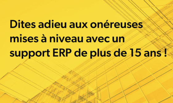Avoid-expensive-erp-upgrades