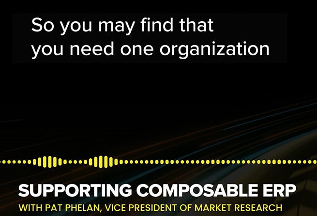 Supporting Composable ERP