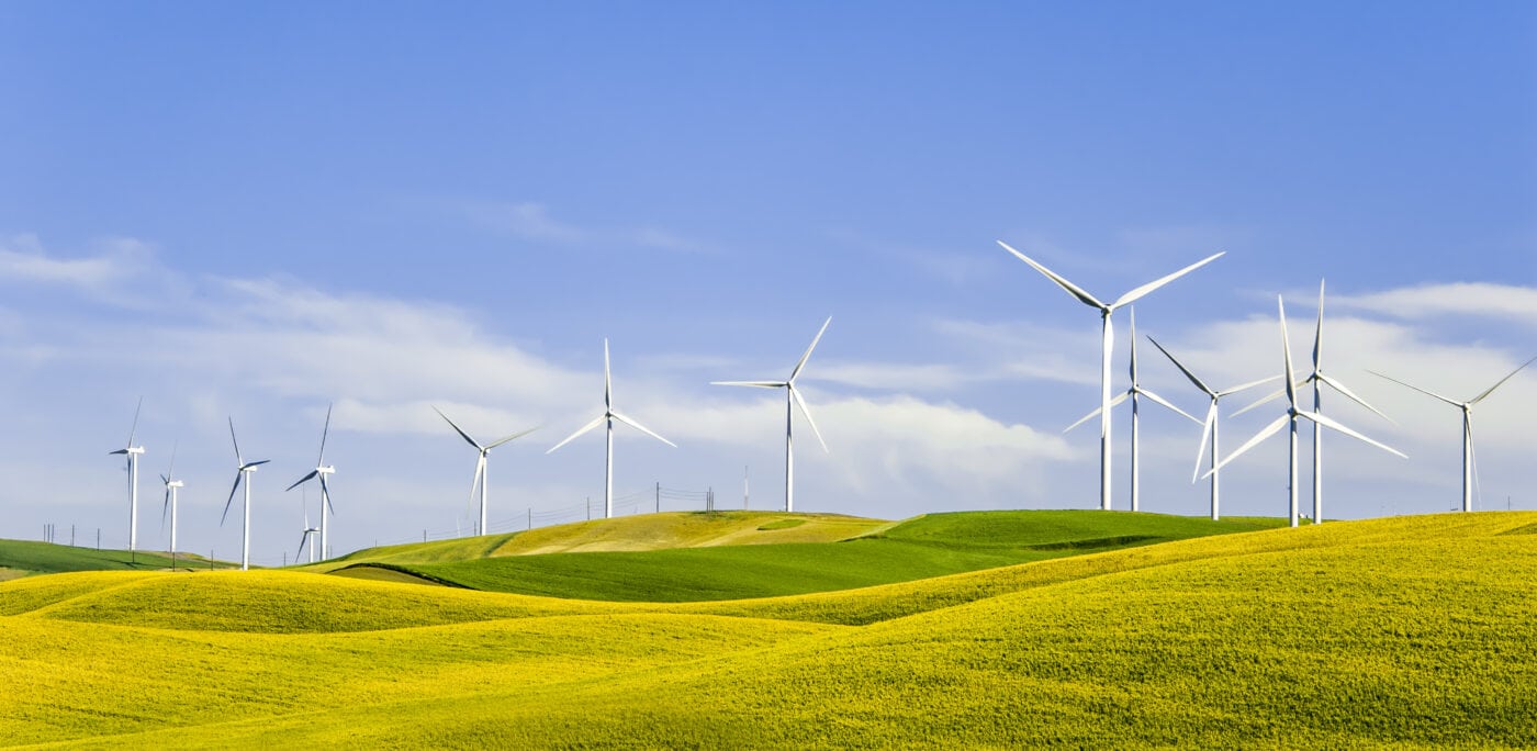 No More Christmas Day PeopleSoft Updates for Energy NW