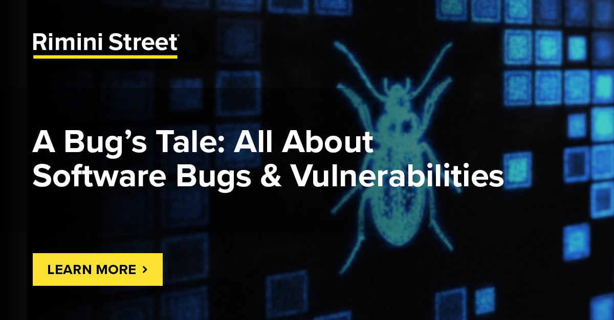 A Bug’s Tale: All About Software Bugs & Vulnerabilities