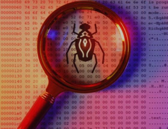 A Bug’s Tale: The Lifecycle of a Software Bug: From Discovery to Defense