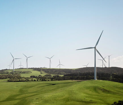 Rimini Street fuels stable SAP systems during Mercury NZ merger 