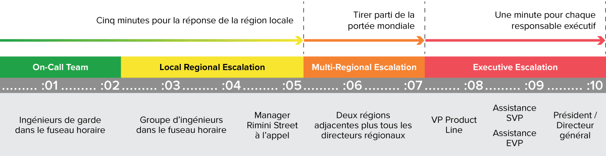 Rimini Street support process