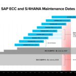 SAP Maintenance Deadlines Explained