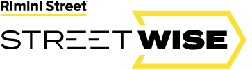 street wise logo