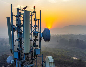 Leading Through Disruption: Innovation Strategies for Telecom CIOs