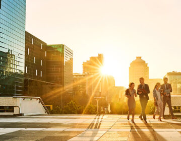 Relatório do Censo Brasileiro