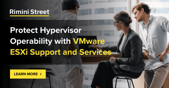 리미니스트리트의 VMware ESXi 지원 및 서비스