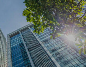 Turning IT Efficiency into ESG Impact: Rimini Street Clients Lead the Way to a Sustainable Future