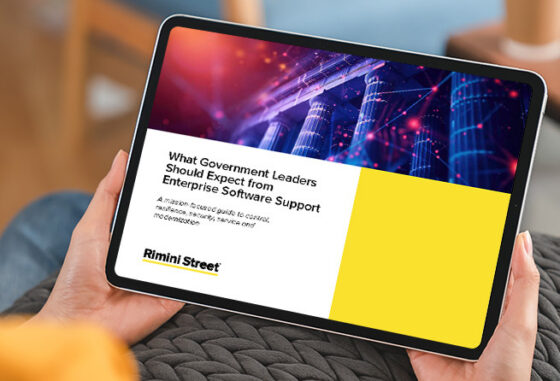 What Government Leaders Should Expect from Enterprise Software Support 